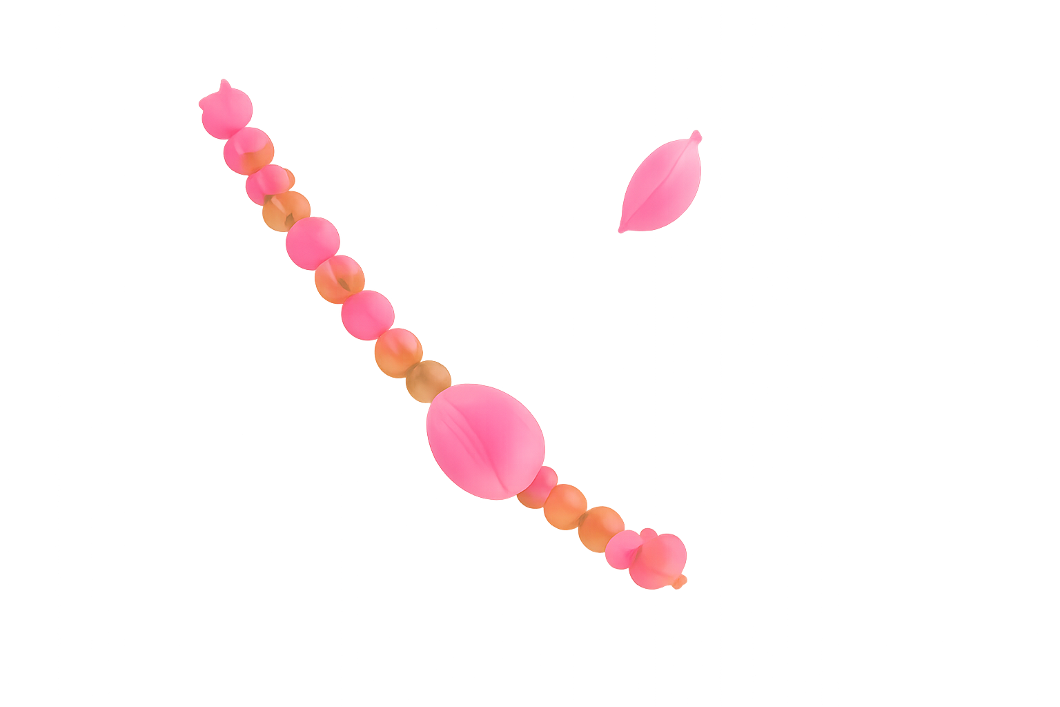 Decorative Top Right